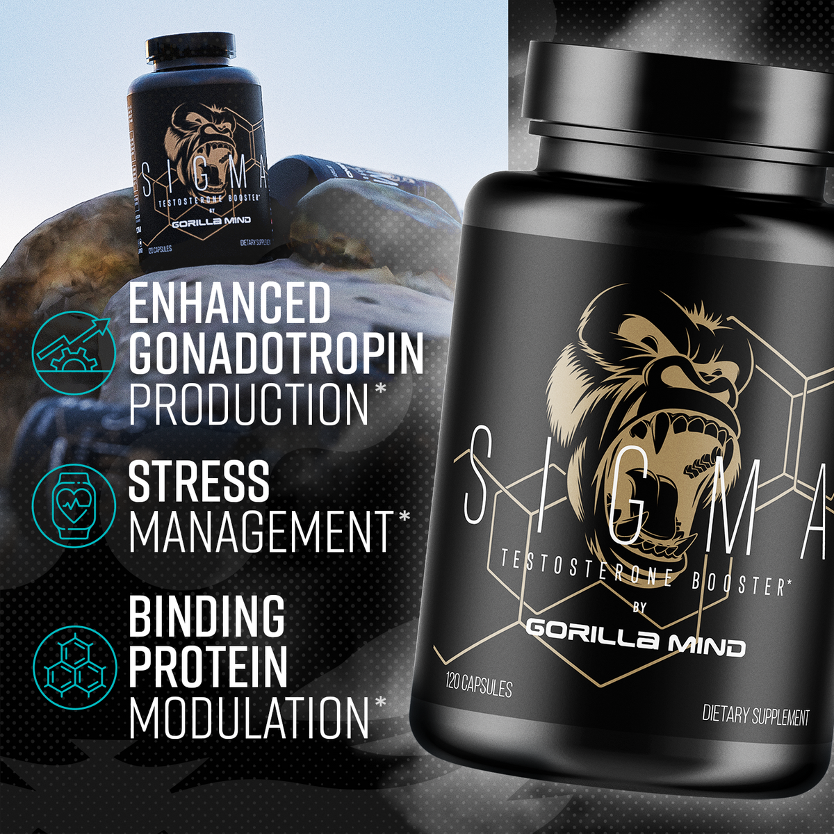 Sigma